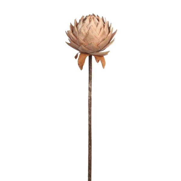 PROTEA VINTAGE GIGANTE 87CM - Imagen 2