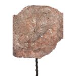 HOJA DE LOTO VINTAGE GIGANTE 97CM - Imagen 2