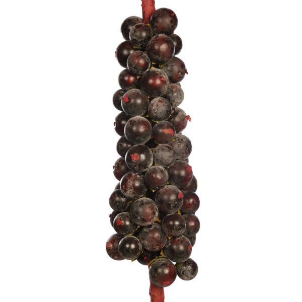 RACIMO FRUTAL GIGANTE 144CM - Imagen 4