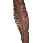 VARA HOJA VINTAGE 103CM - Imagen 2