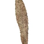 VARA HOJA VINTAGE 103CM - Imagen 4