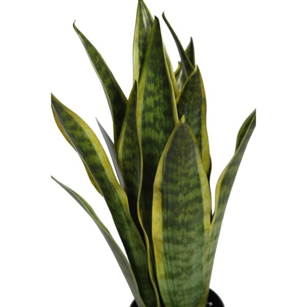 SANSEVIERIA EN MACETA ARTIFICIAL 62CM - Imagen 2