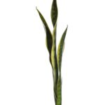 HOJAS SANSEVIERIA ARTIFICIAL 65CM - Imagen 2