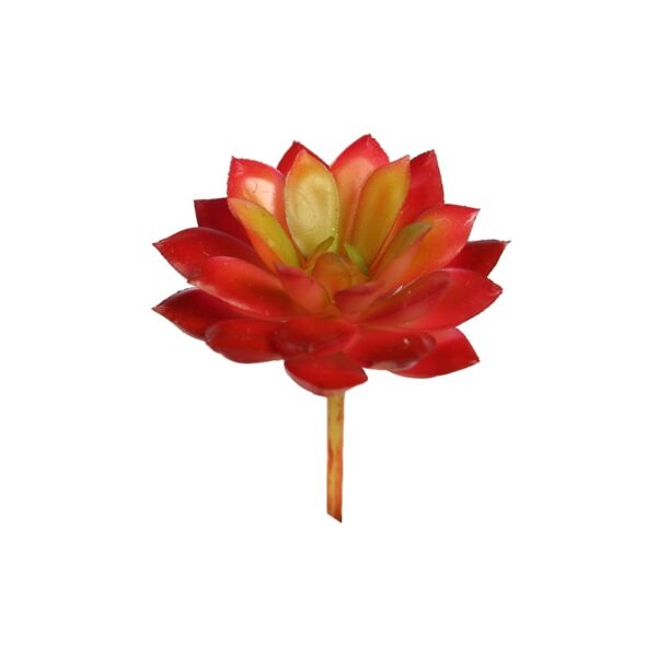 CRASA ECHEVERIA MINI 8CM ARTIFICIAL - Imagen 1