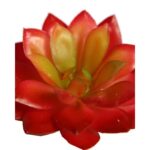 CRASA ECHEVERIA MINI 8CM ARTIFICIAL - Imagen 2
