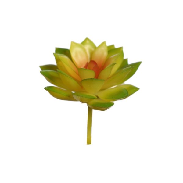 CRASA ECHEVERIA MINI 8CM ARTIFICIAL - Imagen 3