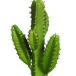 CACTUS SAN PEDRO MINI ARTIFICIAL 19CM - Imagen 2