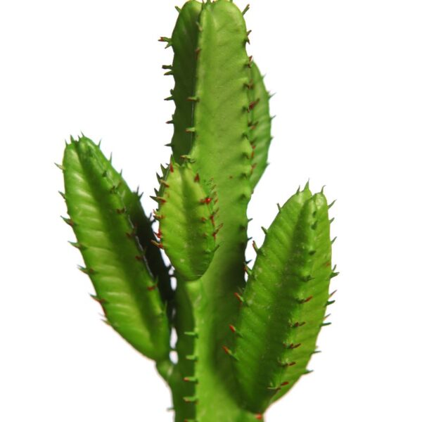 CACTUS SAN PEDRO MINI ARTIFICIAL 19CM - Imagen 2