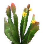 CACTUS MINI FLOR ARTIFICIAL 17CM - Imagen 2
