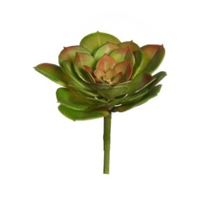 CRASA ECHEVERIA TESENSIS ARTIFICIAL 10CM