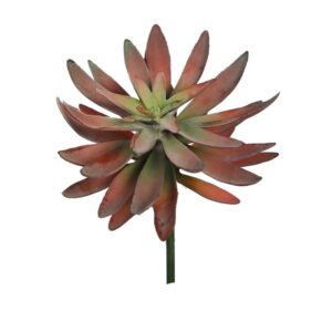 PLANTA CRASA ECHEVERIA HOOKERI ARTIFICIAL 17CM