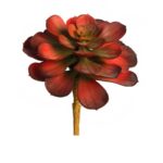 PLANTA SUCULENTA ECHEVERIA ARTIFICIAL 16CM