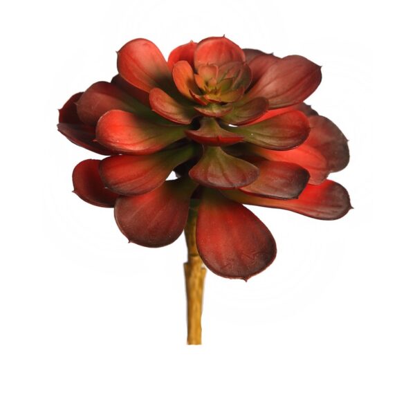 Y0631.03_0 PLANTA SUCULENTA ECHEVERIA ARTIFICIAL 16CM - Imagen 1