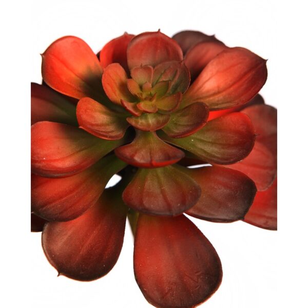 PLANTA SUCULENTA ECHEVERIA ARTIFICIAL 16CM - Imagen 2
