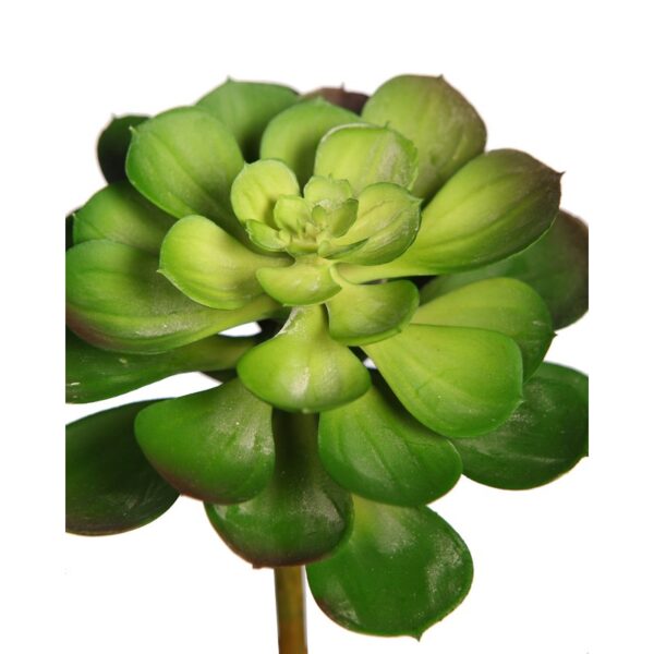 PLANTA SUCULENTA ECHEVERIA ARTIFICIAL 16CM - Imagen 4