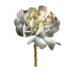 CRASA ELEGANCE ECHEVERIA ARTIFICIAL 16CM