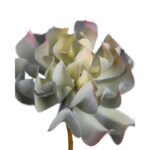 CRASA ELEGANCE ECHEVERIA ARTIFICIAL 16CM - Imagen 2