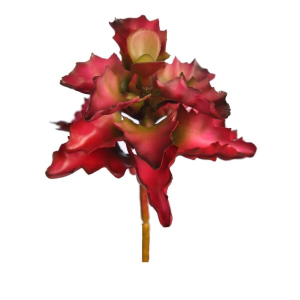 PLANTA SUCULENTA SHAVIANA ARTIFICIAL 14CM - Imagen 1