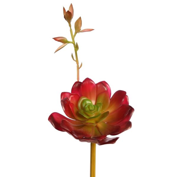 ECHEVERIA COLORATA BROTE ARTIFICIAL 14CM - Imagen 1