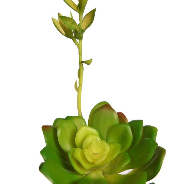 ECHEVERIA COLORATA BROTE ARTIFICIAL 14CM - Imagen 4