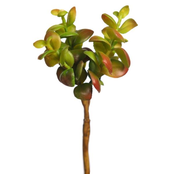 Y0641.10_0 PLANTA SEDUM SUCULENTA ARTIFICIAL 17CM - Imagen 1