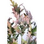 QUERCUS ARTIFICIAL 30CM - Imagen 2