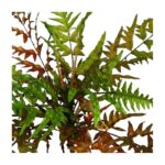 MATA DE HELECHO ARTIFICIAL 45CM - Imagen 4