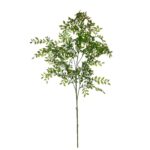 VARA DE EUCALIPTO 100CM