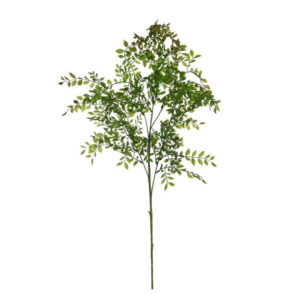 VARA DE EUCALIPTO 100CM - Imagen 1