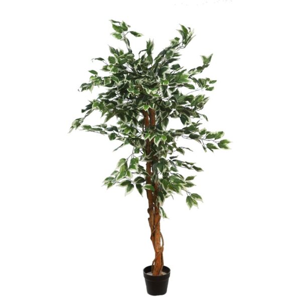 ARBOL DE FICUS BICOLOR ARTIFICIAL - Imagen 1