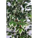ARBOL DE FICUS BICOLOR ARTIFICIAL - Imagen 2