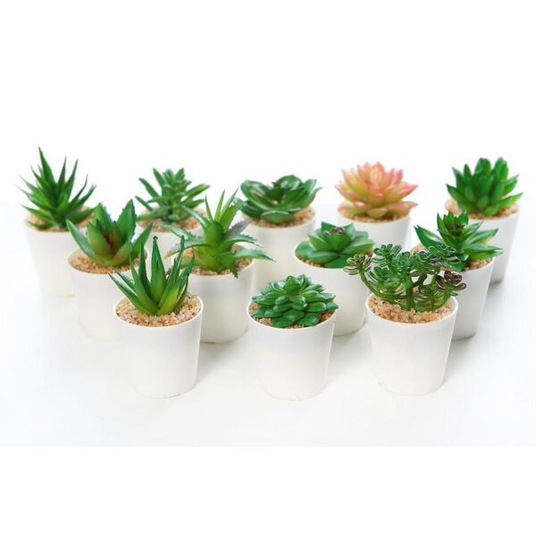 CAJA CACTUS MINI ARTIFICIAL  12 PCS - Imagen 1