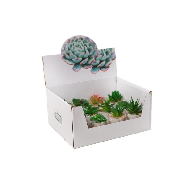 CAJA CACTUS MINI ARTIFICIAL  12 PCS - Imagen 2