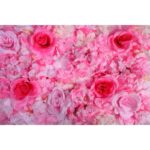 MURO ROSAS Y HORTENSIAS 60X40CM