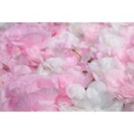 MURO ROSAS Y HORTENSIAS 60X40CM - Imagen 5