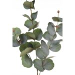 RAMA EUCALIPTO ARTIFICIAL 78CM - Imagen 8