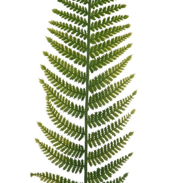 HOJA HELECHO ARTIFICIAL 90CM - Imagen 2