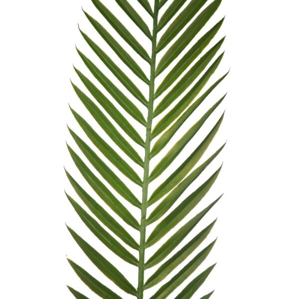 HOJA PALMERA ARTIFICIAL 95CM - Imagen 2