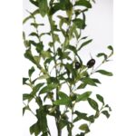 VARA DE OLIVO ARTIFICIAL 98CM - Imagen 2