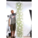 PANEL ROSAS Y GIPSOFILA 200X50CM - Imagen 2