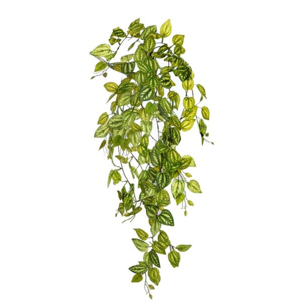 PLANTA FITONIA ARTIFICIAL 90CM - Imagen 1