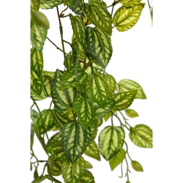 PLANTA FITONIA ARTIFICIAL 90CM - Imagen 2