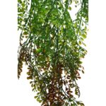 TREPADORA ARTIFICIAL 75CM - Imagen 2